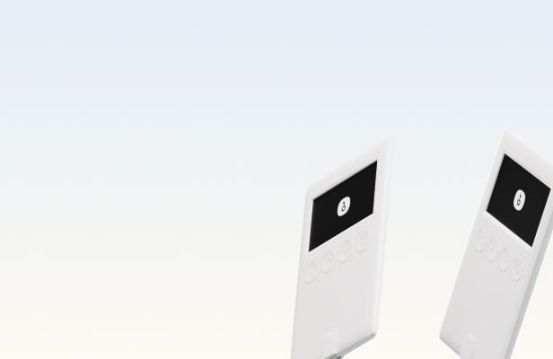 OneKey Classic 1S Pure